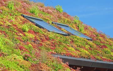 Low Barlings living roof systems